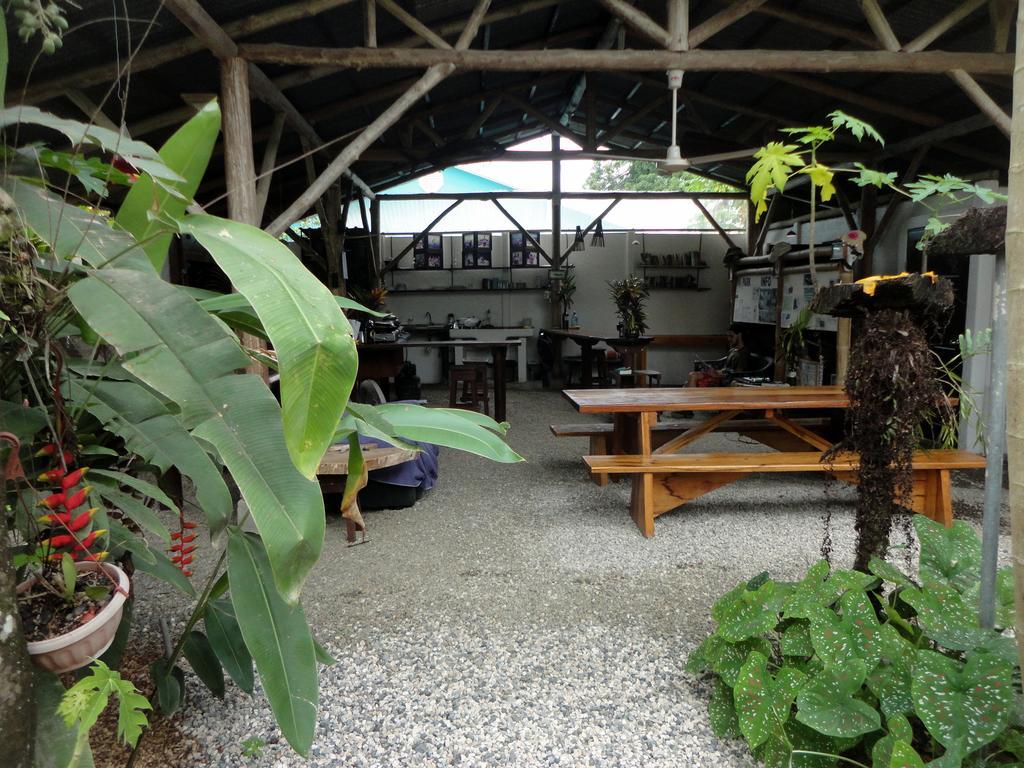 Cabinas Tropicales Puerto Jiménez Buitenkant foto