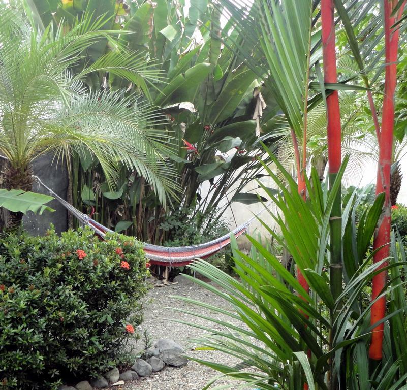 Cabinas Tropicales Puerto Jiménez Buitenkant foto