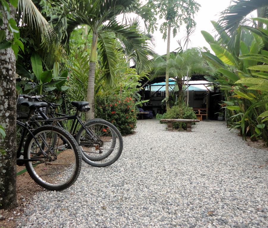 Cabinas Tropicales Puerto Jiménez Buitenkant foto