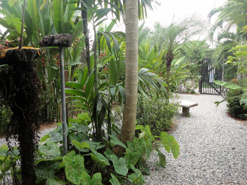 Cabinas Tropicales Puerto Jiménez Buitenkant foto