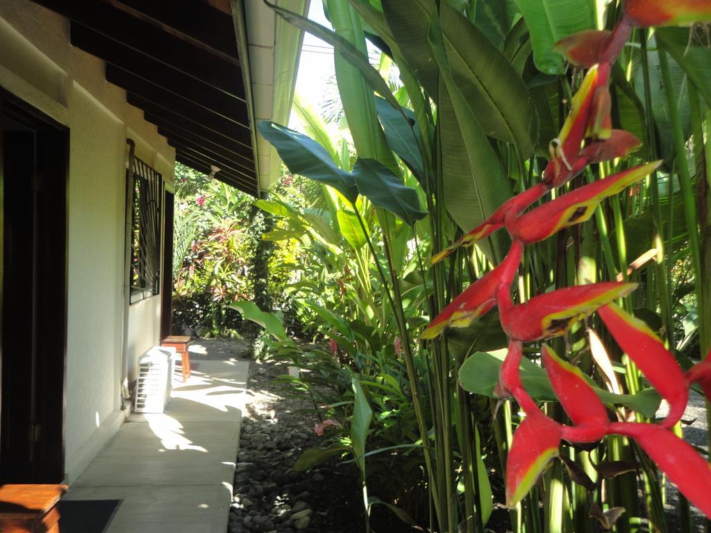 Cabinas Tropicales Puerto Jiménez Kamer foto