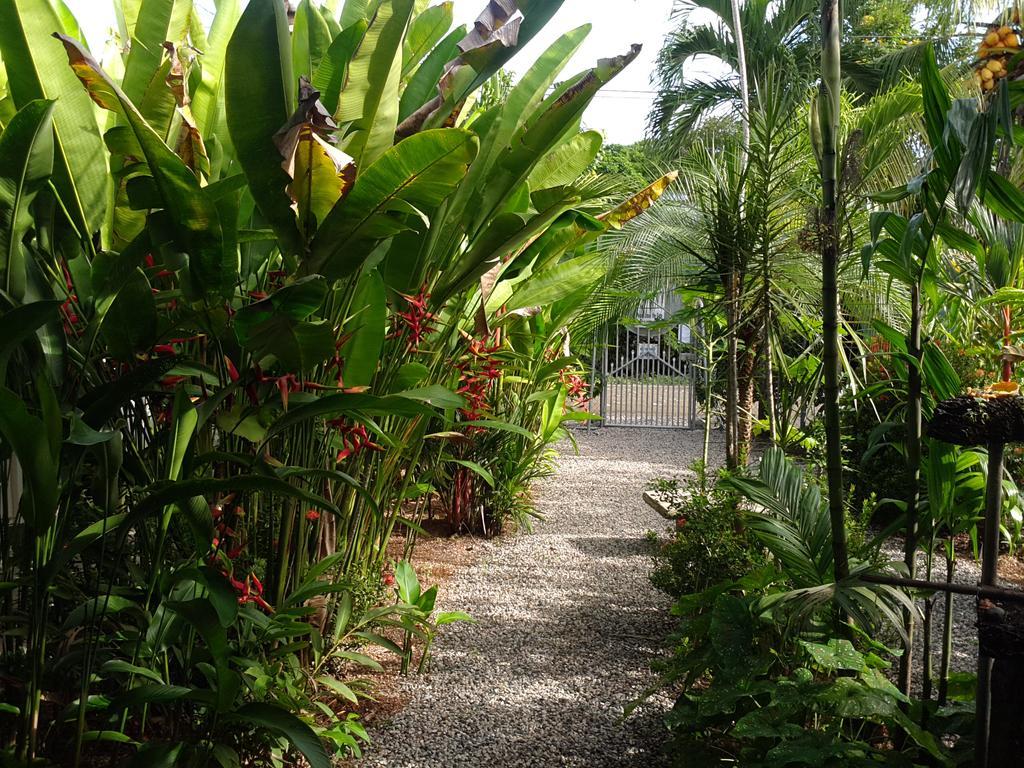 Cabinas Tropicales Puerto Jiménez Buitenkant foto
