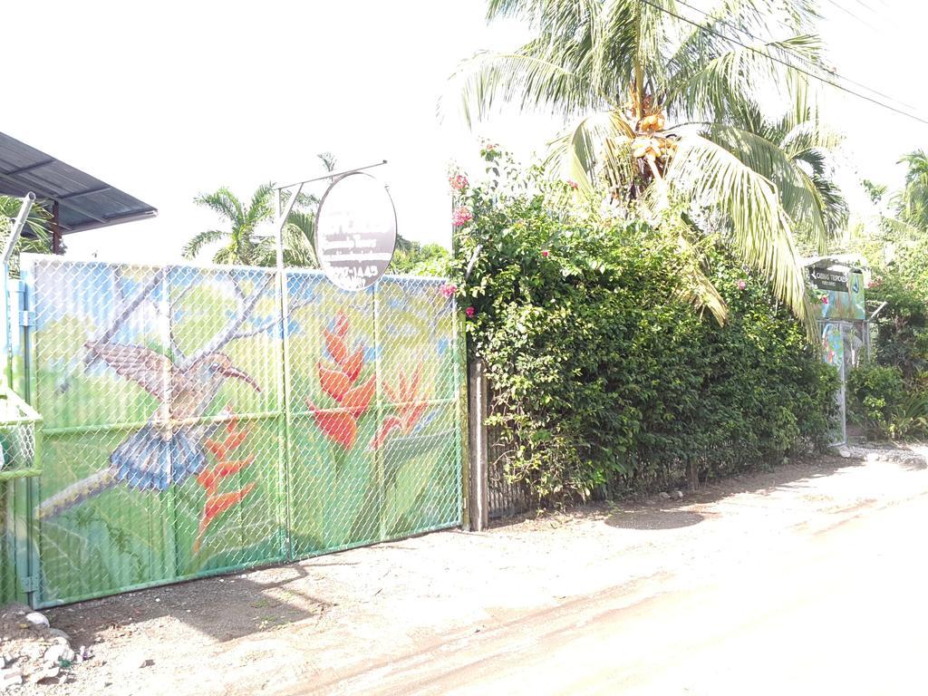 Cabinas Tropicales Puerto Jiménez Buitenkant foto