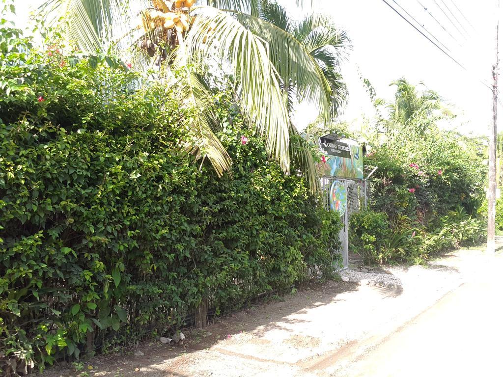 Cabinas Tropicales Puerto Jiménez Buitenkant foto